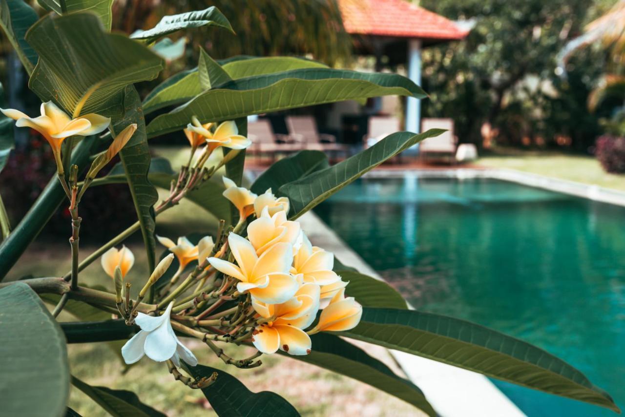 Bali Mynah Villas Resort جيمباران المظهر الخارجي الصورة